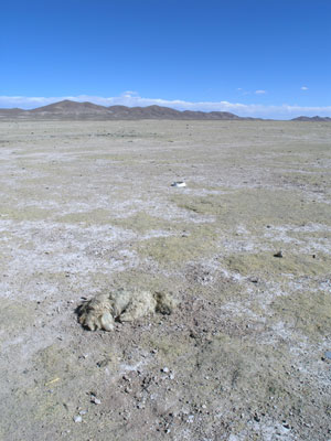 1128_uyuni02.jpg