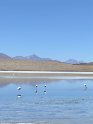 1201_uyuni02.jpg