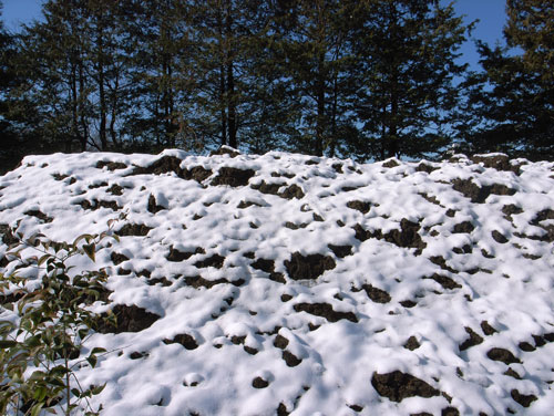 雪とけた